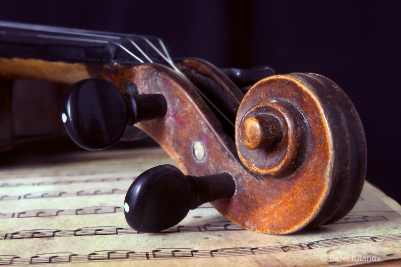 The Old Violin