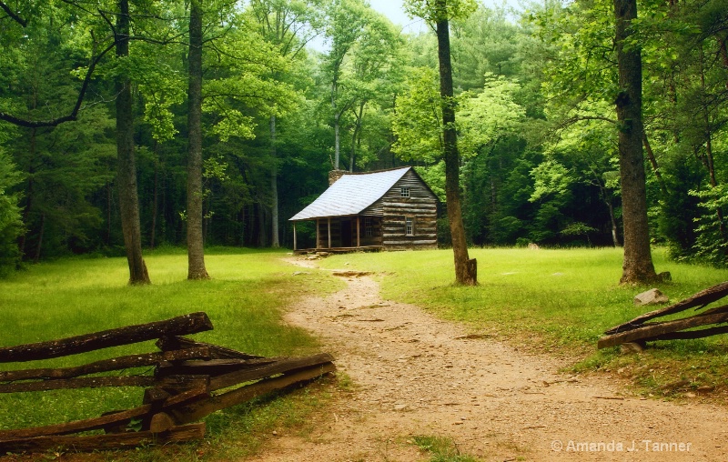 Secluded Cabin 