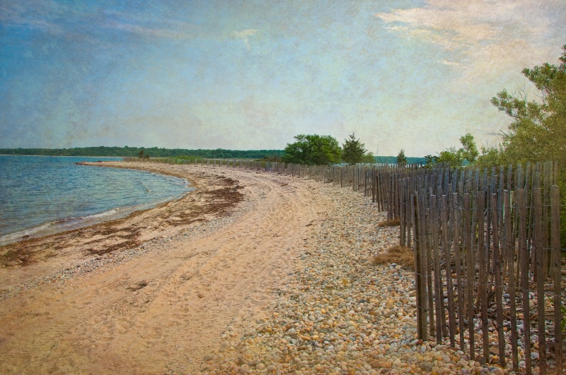 Stony Beach