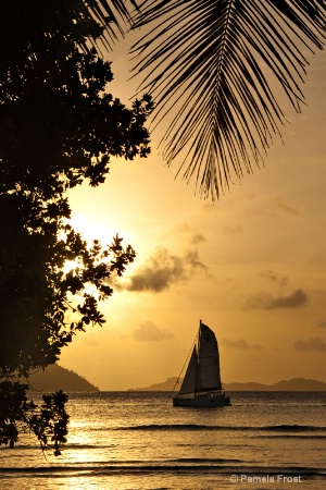Seychelles Sail