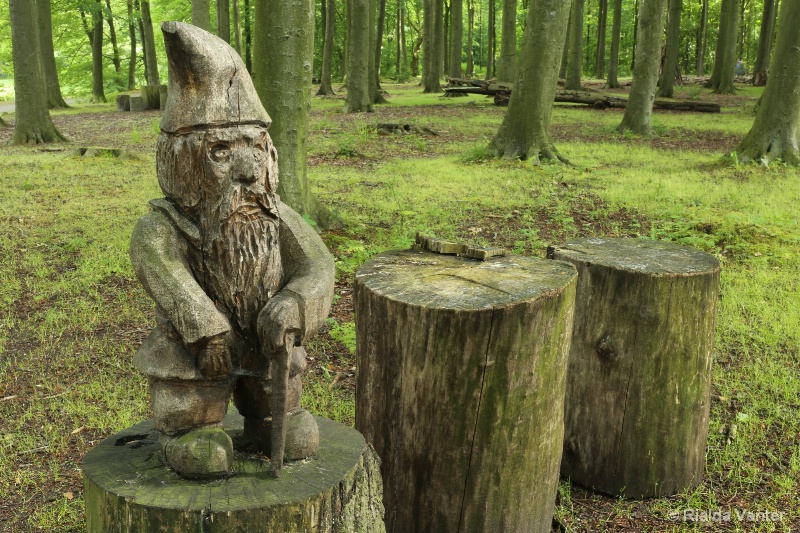 Gnome in Woods