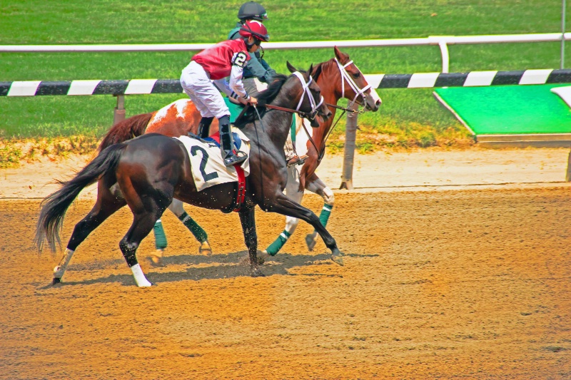 At The Races