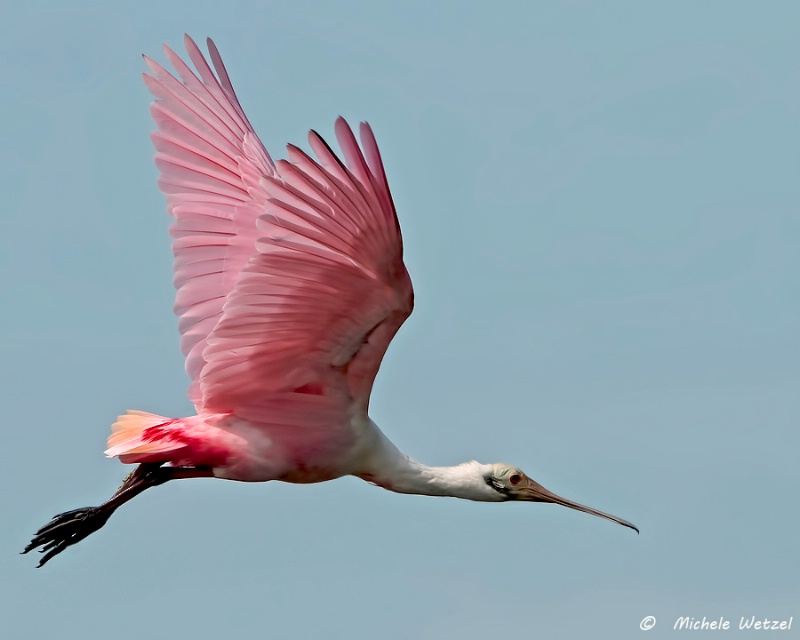 Soaring Above