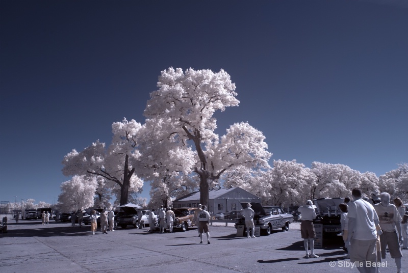 Car Show in IR - ID: 13057449 © Sibylle Basel