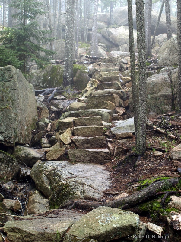 05/2012 Perpendicular Trail