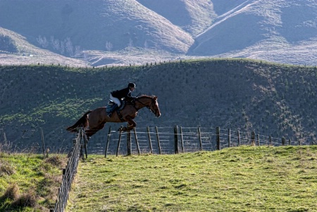 Jumping Fences