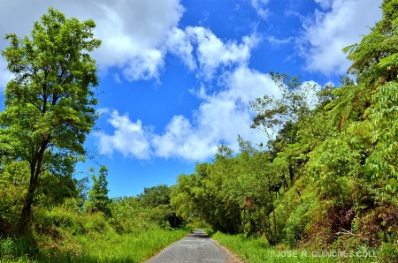 BACKROAD 596, RIO GRANDE, PUERTO RICO