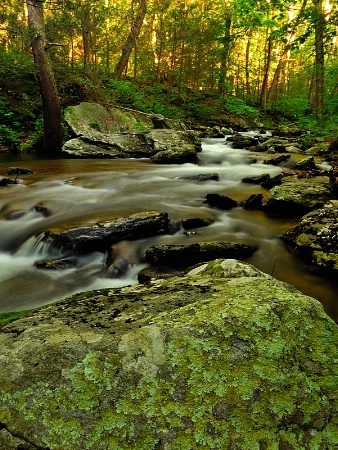 Fishing Creek