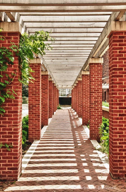 Shade Pergola