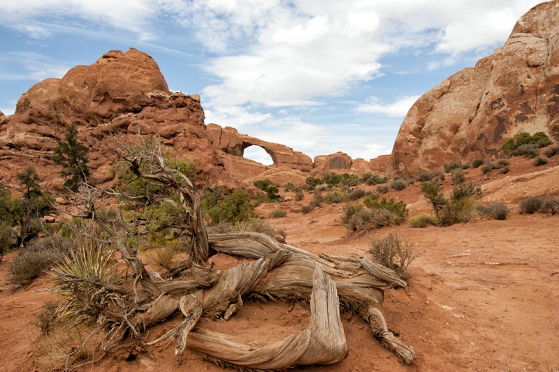 arches national park moab ut ih1d5188 - ID: 13070309 © James E. Nelson