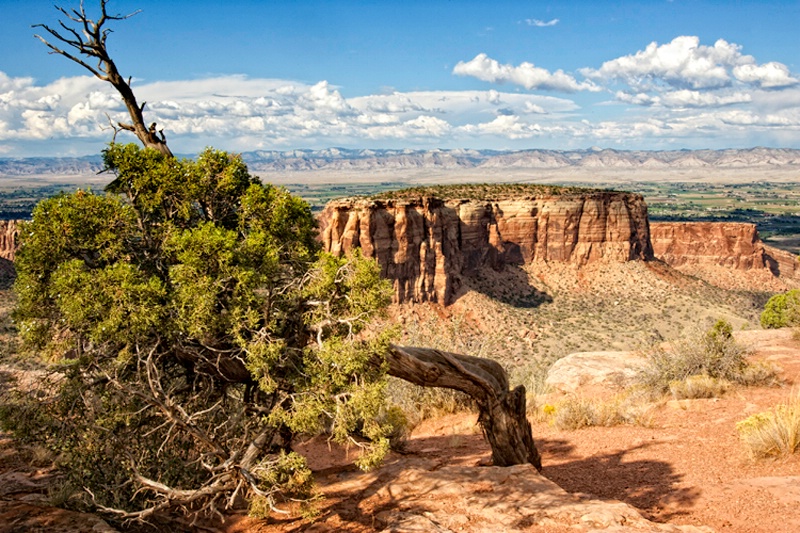 colorado national monument grand junction co ih1d5 - ID: 13070320 © James E. Nelson