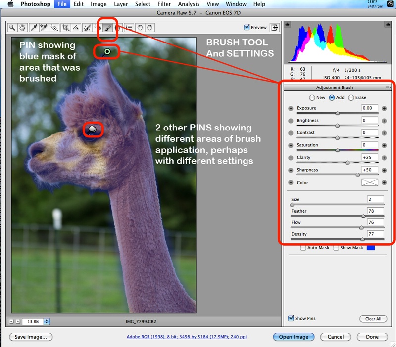 Camera Raw Brush Tool