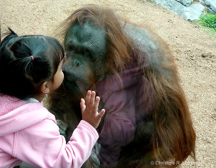 The Kiss