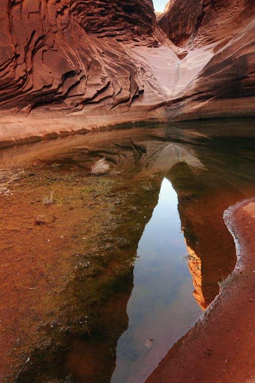 North Canyon reflection