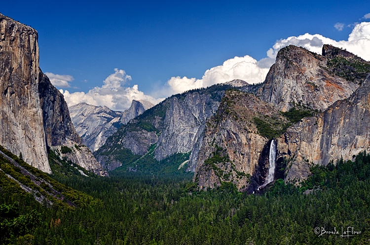 Yosemite National Park 