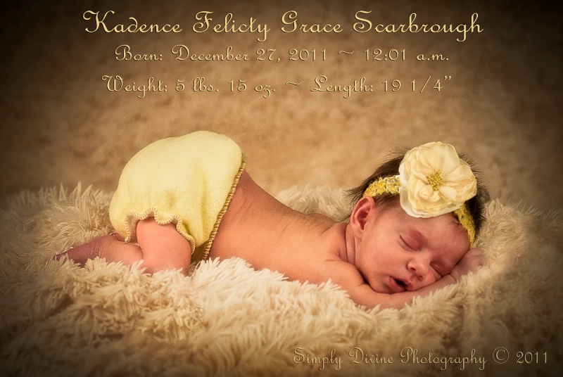 Welcome to our family Baby Kadence - ID: 13072972 © Susan M. Reynolds