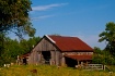 View of the Farm