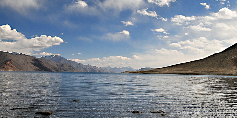 panograph  beautiful pangong lake  ladakh