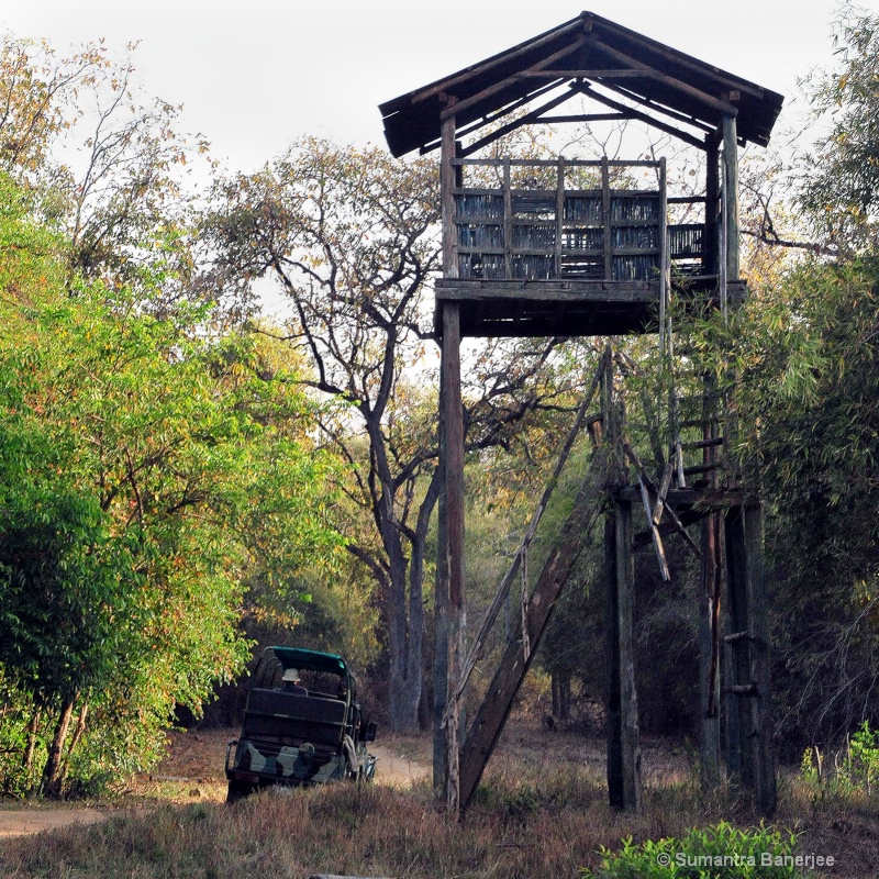 watch tower in the forest  tadoba