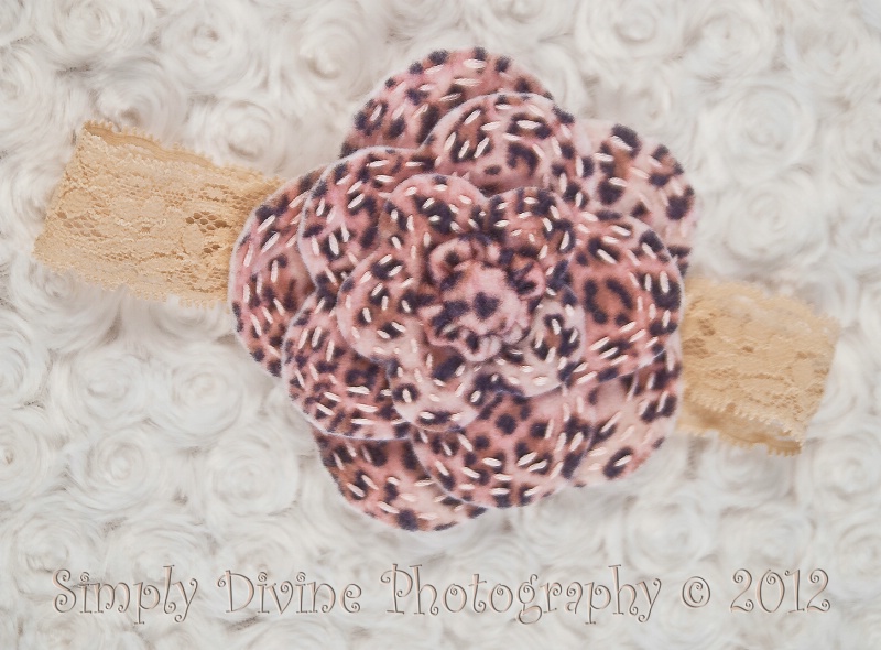 Pink Leopard Headband - ID: 13075299 © Susan M. Reynolds