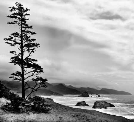 Ecola Overlook