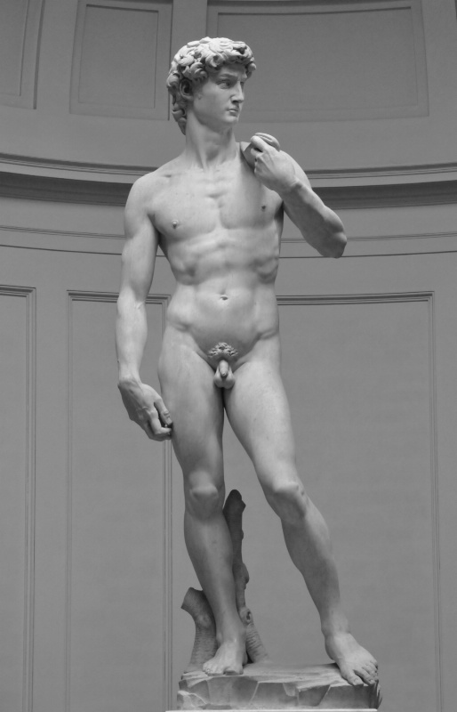 Michelangelo's David, Florence Italy - ID: 13075987 © William S. Briggs
