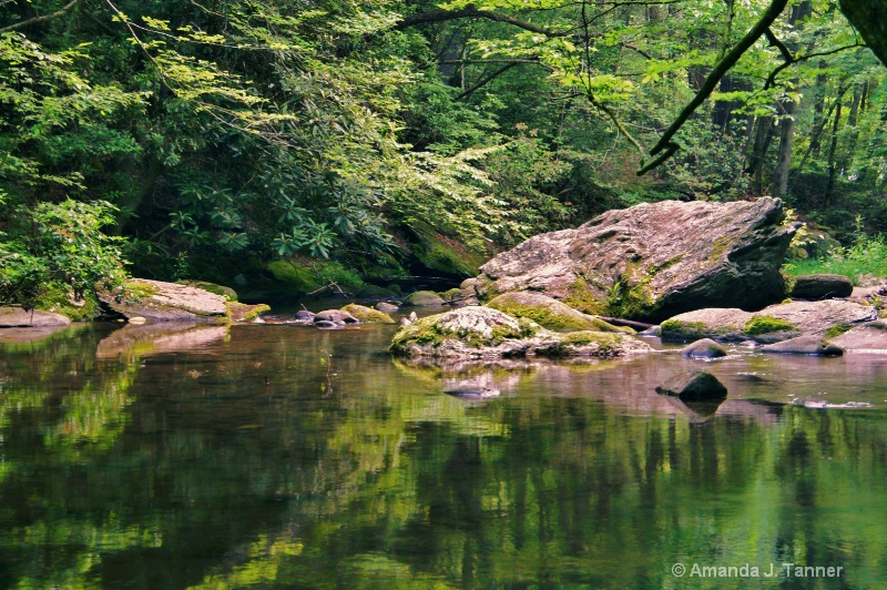 Stream Reflections 