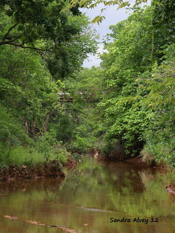 The Hidden Bridge, Martin Nature Reserve, OKC