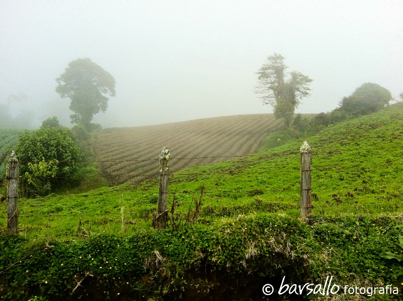 At the road to Turrialba volcano