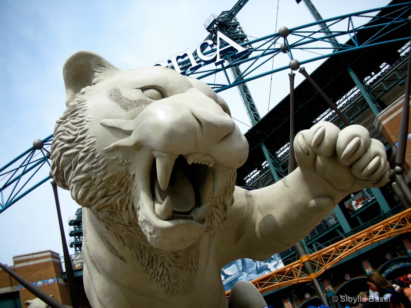 Detroit Tiger!