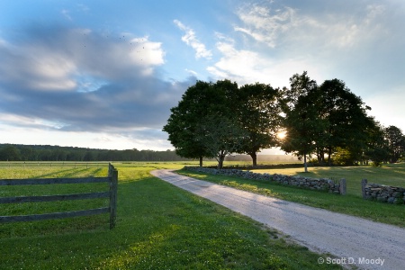 Down On the Farm