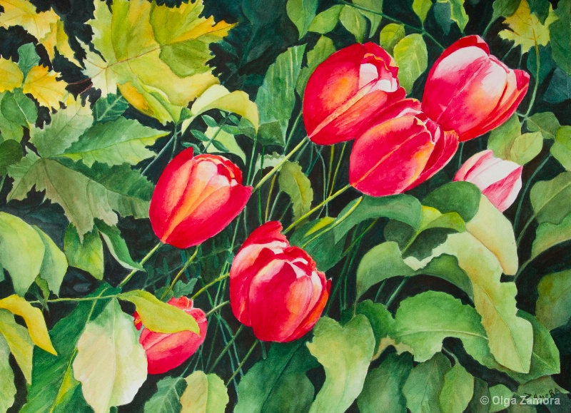 Red Tulips - ID: 13078492 © Olga Zamora