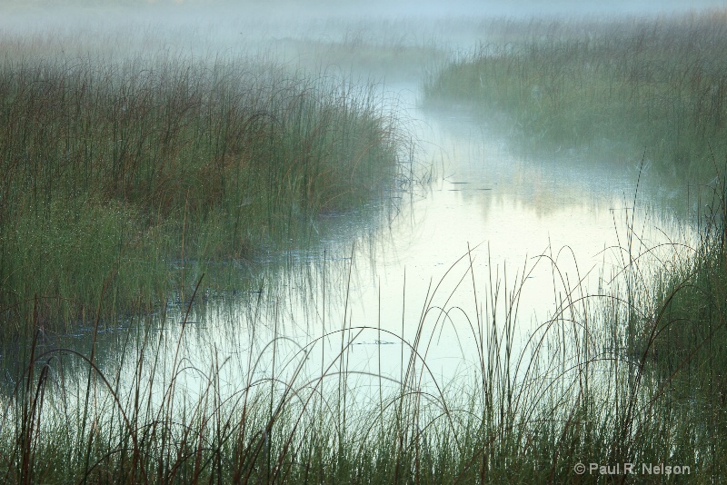 Foggy Morning at the Marsh