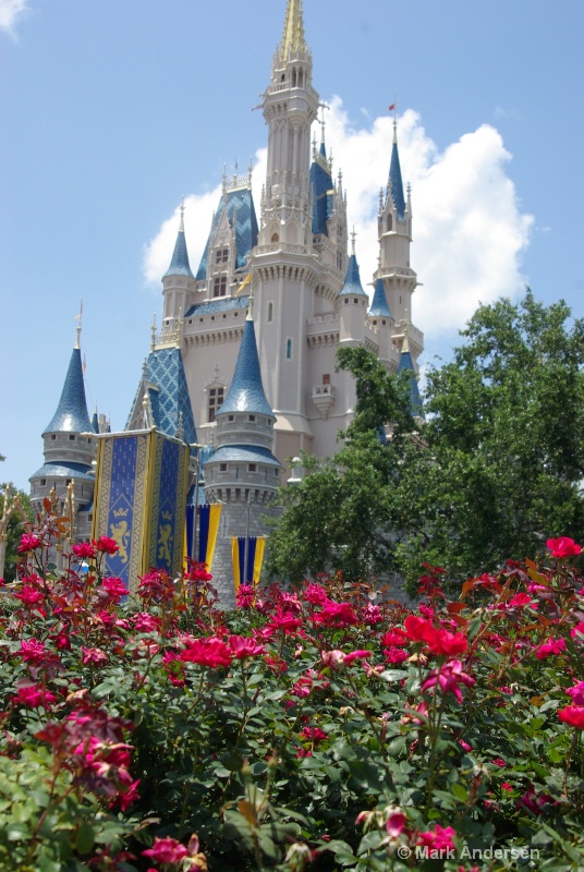 Magic Kingdom Rose Garden 2012 - ID: 13079649 © Mark Andersen