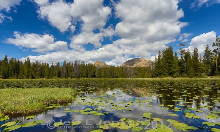 Uinta Mountain Afternoon