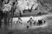 life at rural vil...