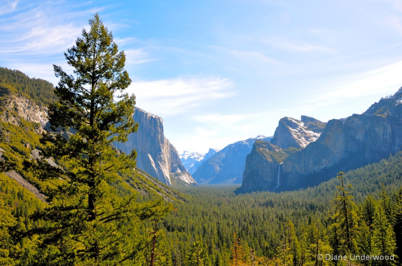 Yosemite