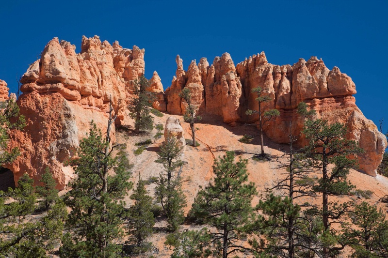 Bryce Amphitheater from Navajo Trail