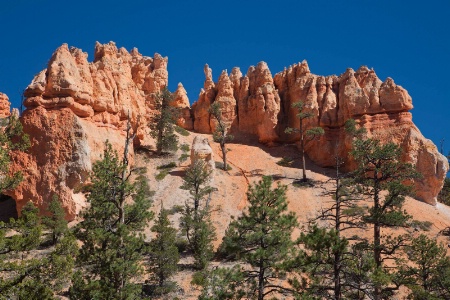 Bryce Amphitheater from Navajo Trail
