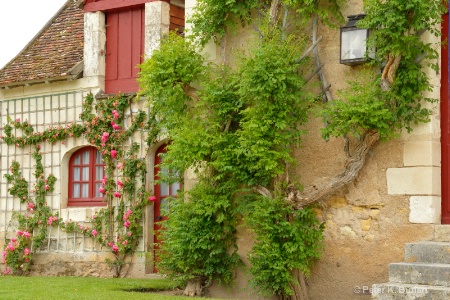 chenonceau cottage 185 ccc