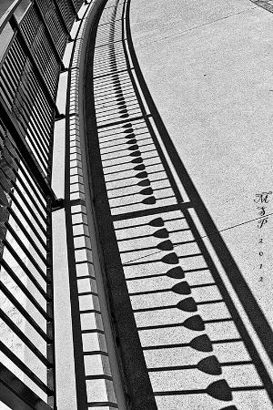 Fence And Shadows