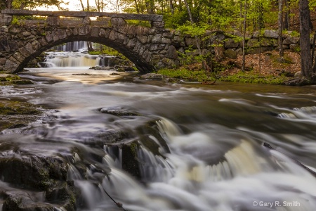 Vaughn Woods Stream