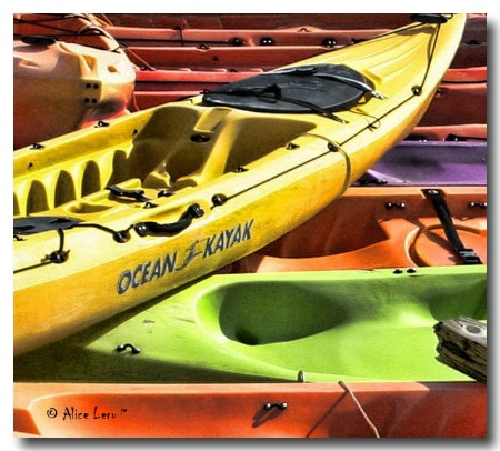 Ocean Kayak