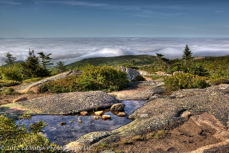 Cadillac Mountain