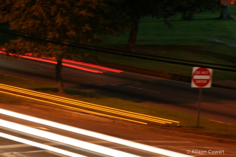 Savannah Lights
