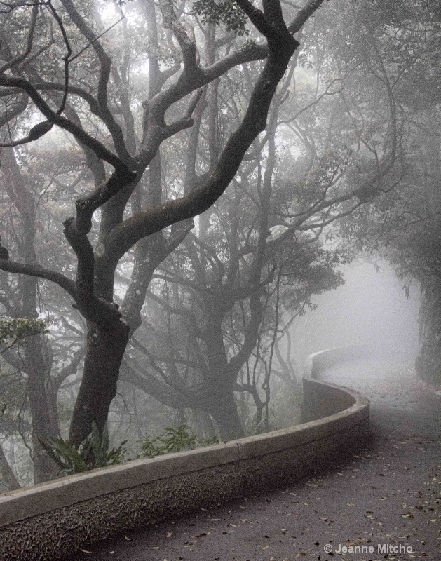 Victoria Peak, Hong Kong - ID: 13088964 © Jeanne C. Mitcho