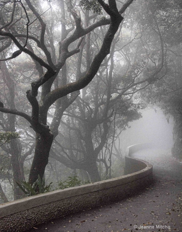 Victoria Peak, Hong Kong