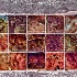 © Elliot Barnathan PhotoID# 13089282: Abstraction
