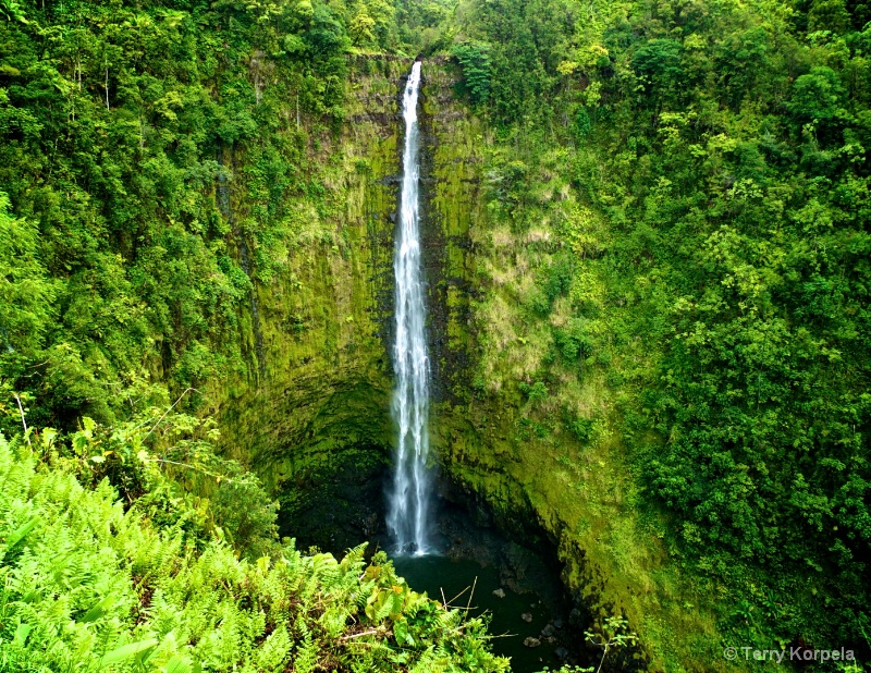 Akaka Falls   Hawaii - ID: 13089608 © Terry Korpela