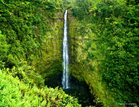 Akaka Falls   Hawaii